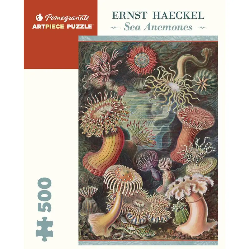 Ernst Haeckel - Sea Anemones (Pomegranate 500pc)