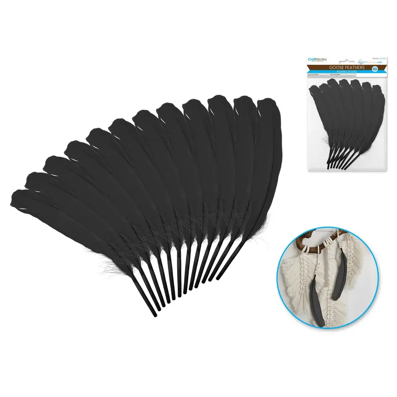 Feather Craft: 12g Craft Feathers