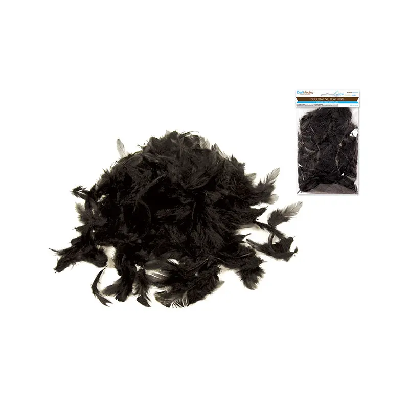 Feather Craft: 12g Craft Feathers 2"-3.5"