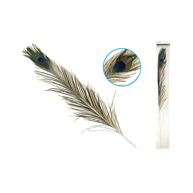 Feather Craft: 31"-35" Real Peacock Feather