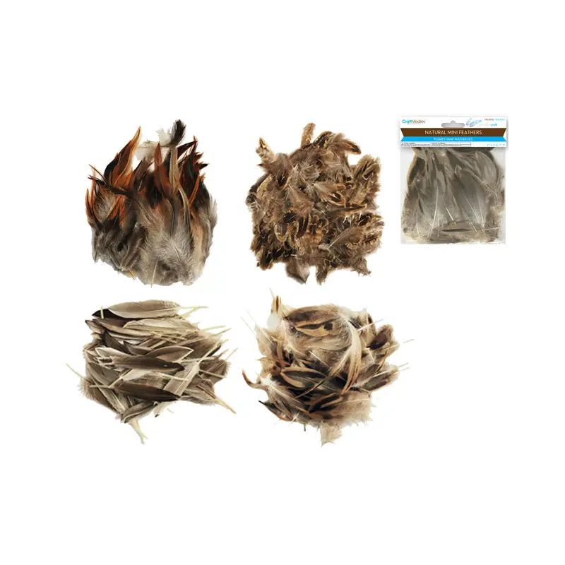 Feather Craft: 3"-4" Natural Minis 3g