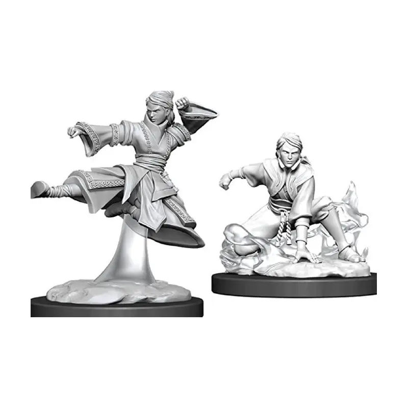 Human Female Monk (WIZ90008)