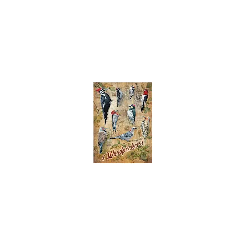 500pc Puzzle Cobble Hill Notable Woodpeckers