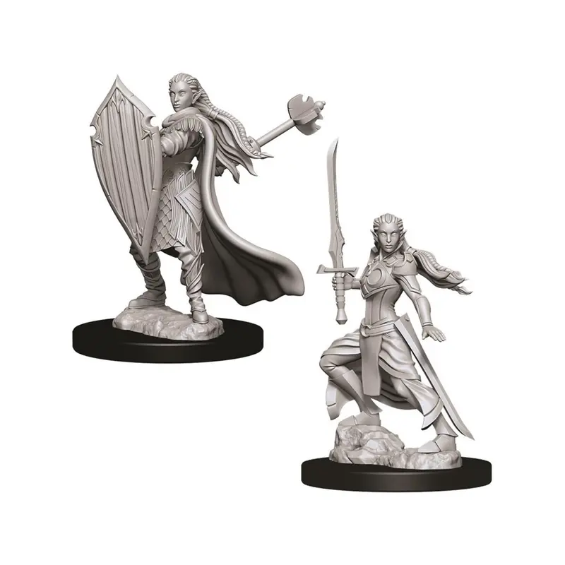 Elf Female Paladin (Nolzur)