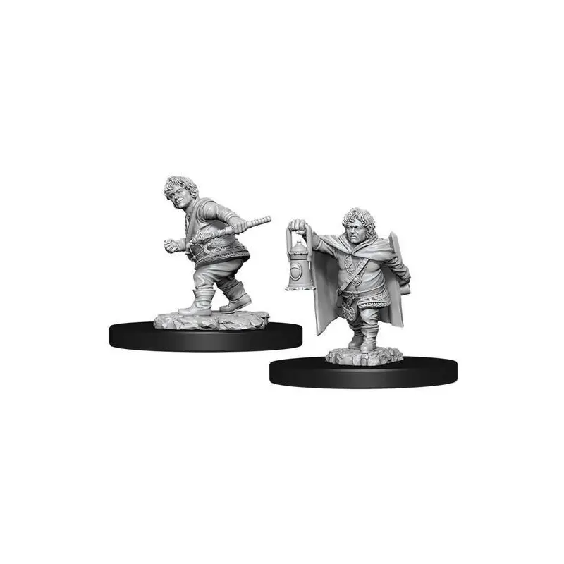 Male Halfling Rogue (WIZ90006)