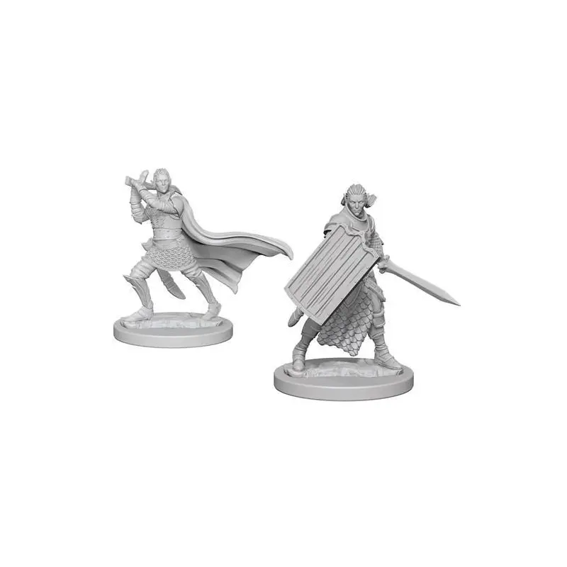 Male Elf Paladin (Pathfinder Deep Cuts)