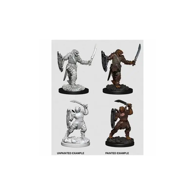 DND UNPAINTED MINIS WV5 DRAGONBORN FEMALE PALADIN