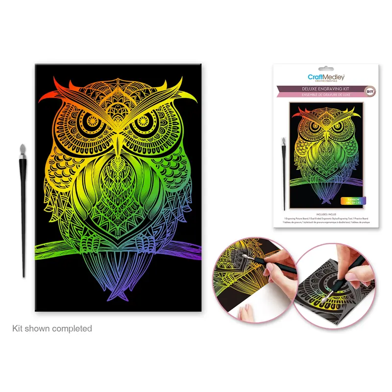 Craft Medley Kit: Deluxe Engraving Art DIY Kit Rainbow - Owl