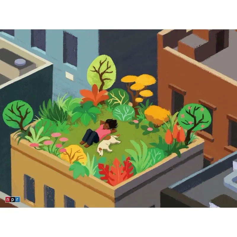 Rooftop Relaxation (New York Puzzle Company 500pc)