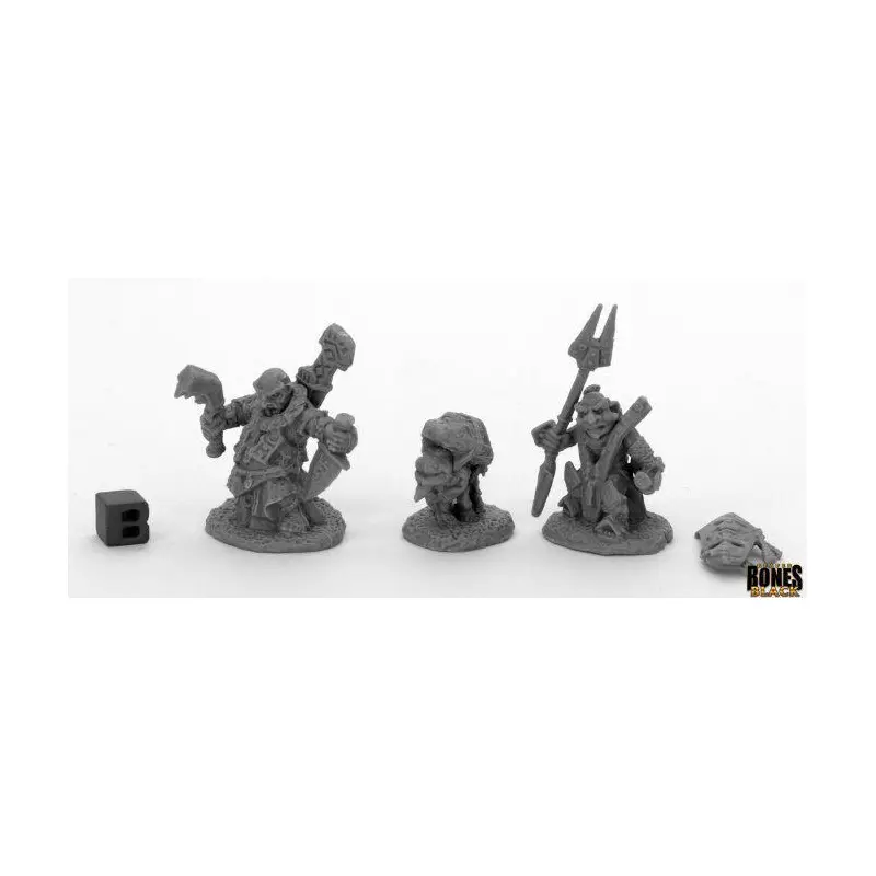 Reaper Bones Black: Bloodstone Gnome Heroes