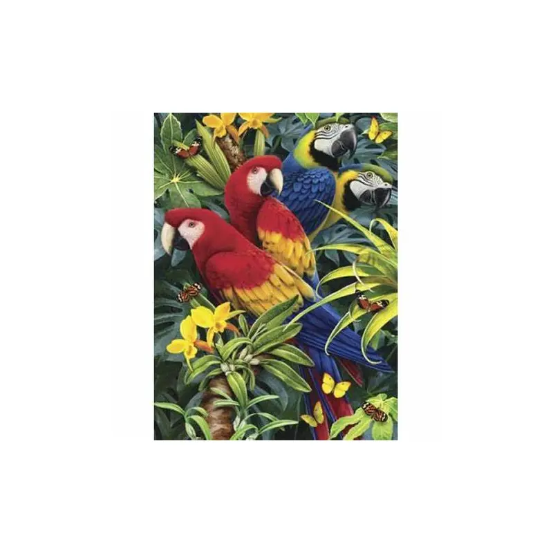 Majestic Macaws Paint by Number