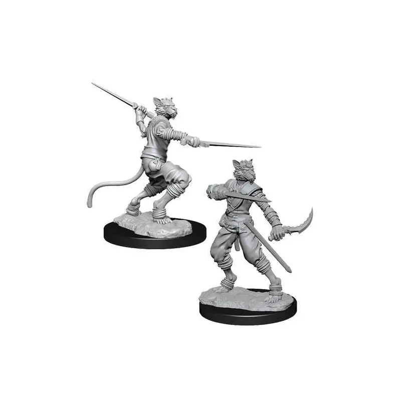 Male Tabaxi Rogue (WIZ73540)