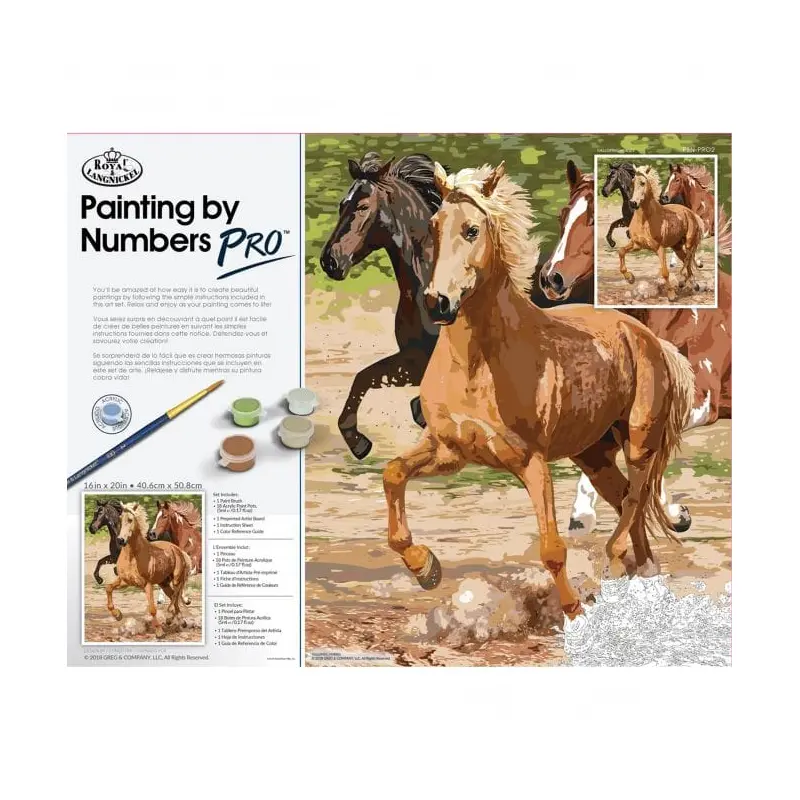 PAINT BY NUMBERS - Galloping Horse