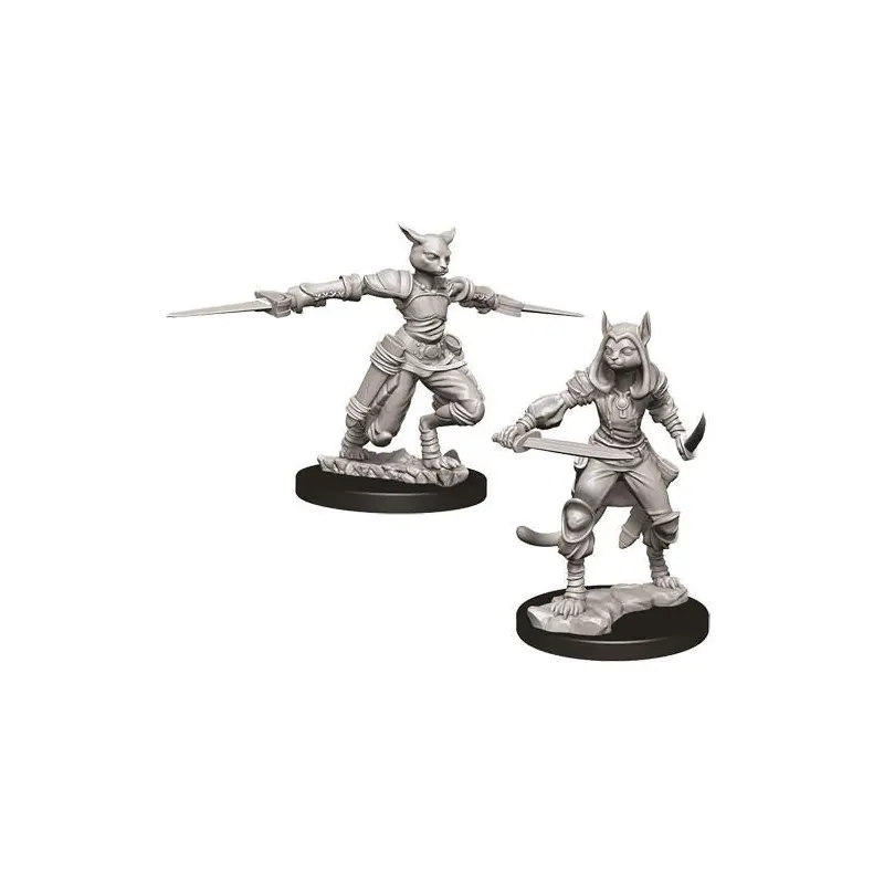 Tabaxi Female Rogue (Nolzur)