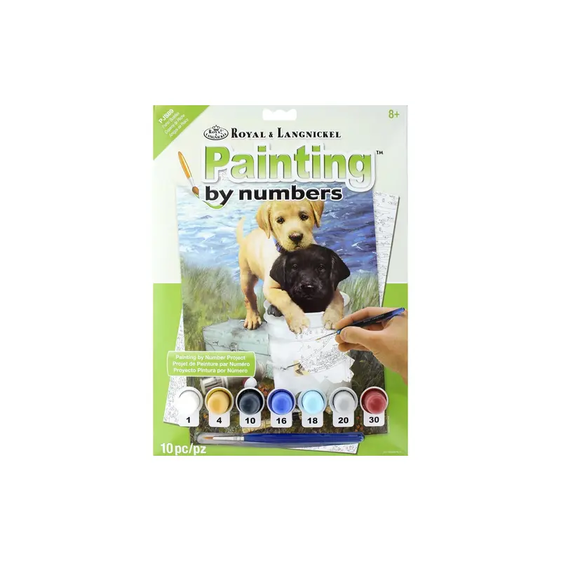 PJS89 ROYAL PAINT BY NUMBER JUNIOR SM FISHIN BUDDIES