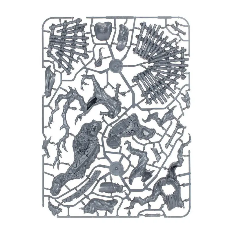 Age of Sigmar: Elder Gnarloak