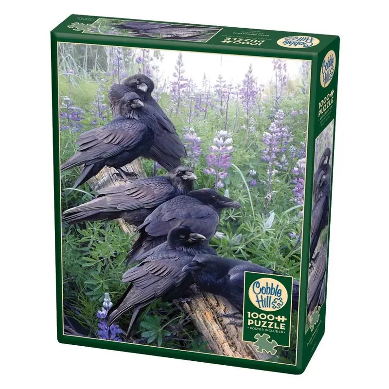 1000pc Puzzle Cobble Hill Raven Rendezvous