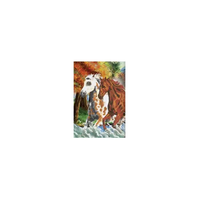 CANJ-04 Notebook : Wild Horses