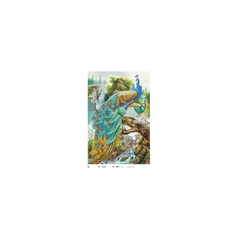 CANJ-17 Notebook : Peacock