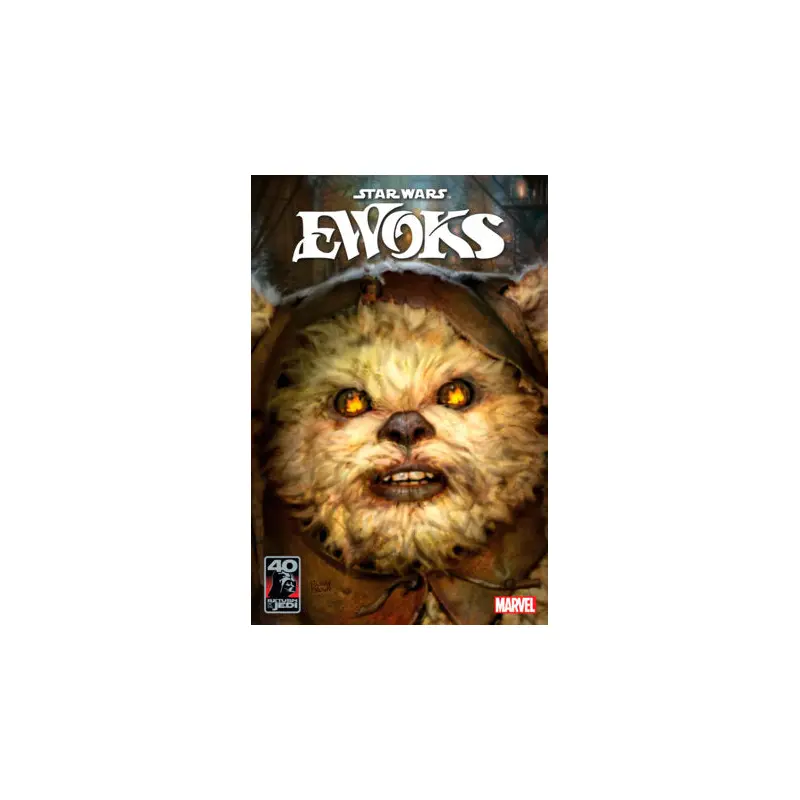 STAR WARS: RETURN OF THE JEDI - EWOKS