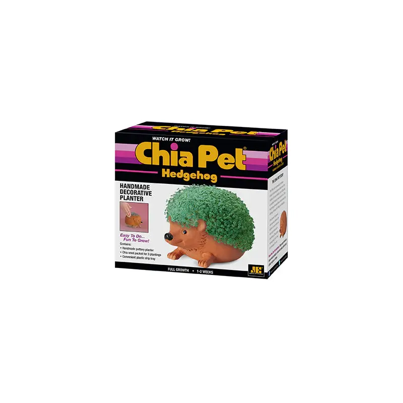 CHIA PET Hedgehog