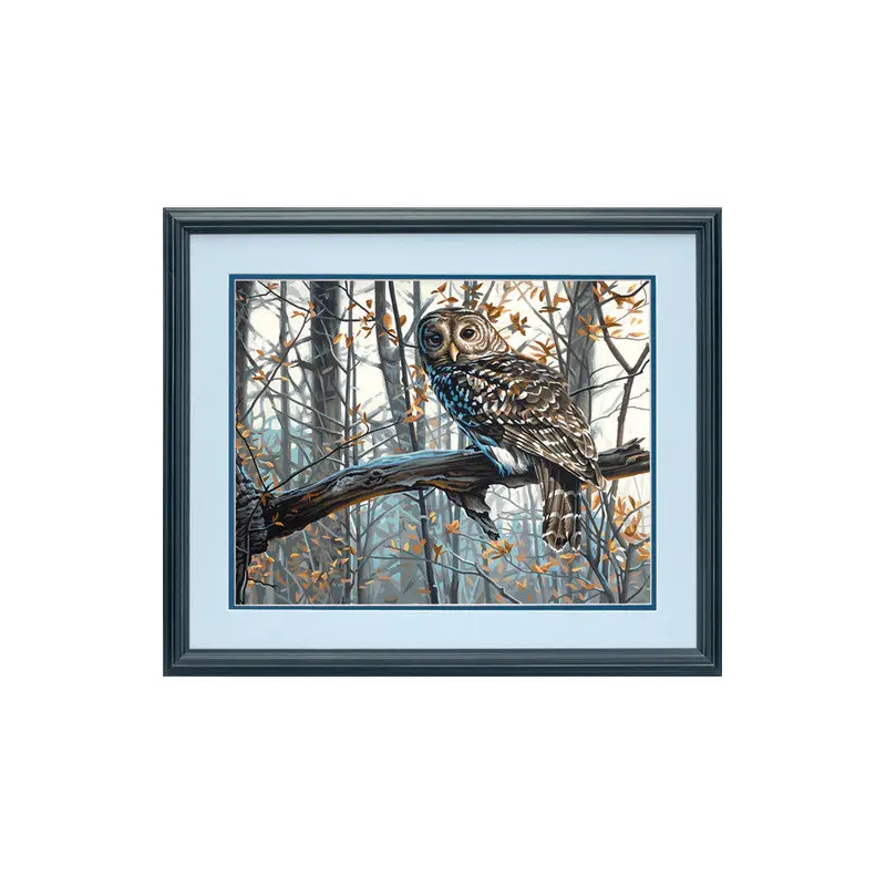 Dimensions 73-91428 14 x 11 in. Paint Work Number Kit, Wise Owl