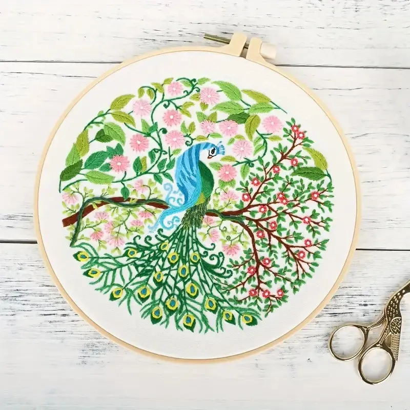 AISIBO Embroidery Kits, Starter Kit with Peacock