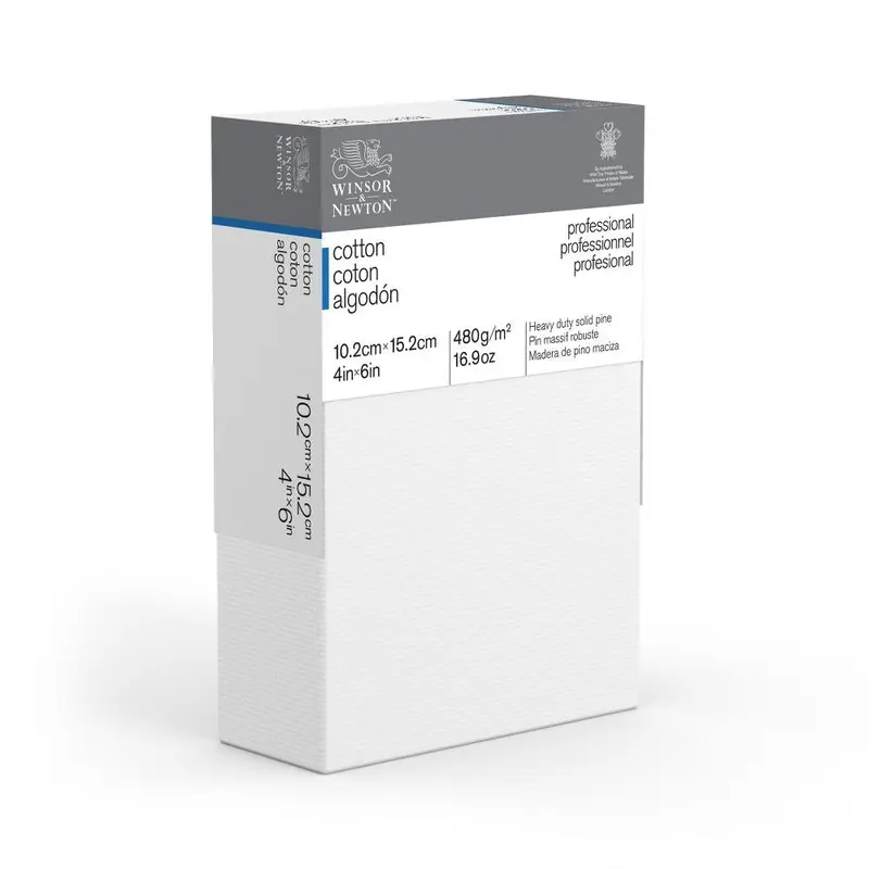 Professional Canvas, Cotton Deep Edge - 4" x 6"