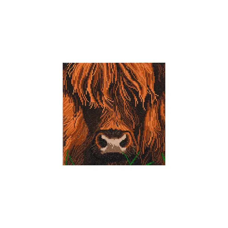 CAK-A165M: CAK-A165M: "Highland Cow" 30x30cm Crystal Art Kit 30x30cm Crystal Art Kit