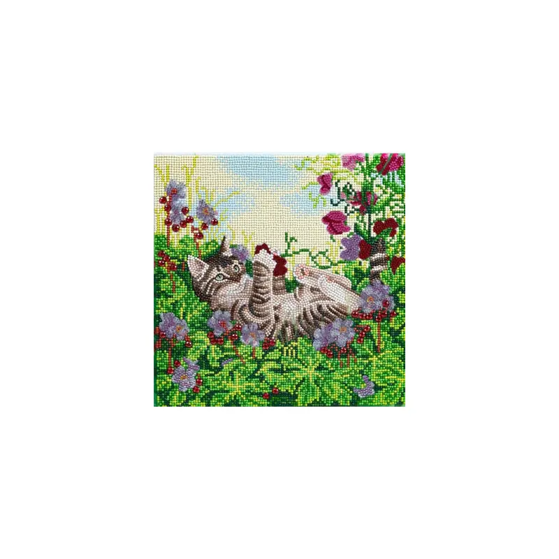 CAK-A178M: "Playful Cat" 30x30cm Crystal Art Kit 30x30cm Crystal Art Kit