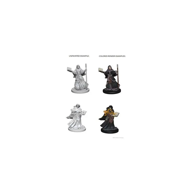 DND UNPAINTED MINIS WV1 FEMALE HUMAN WIZARD