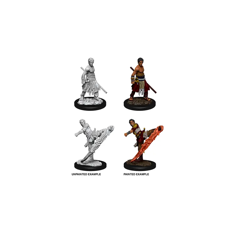DND UNPAINTED MINIS WV10 MALE HALF-ELF MONK