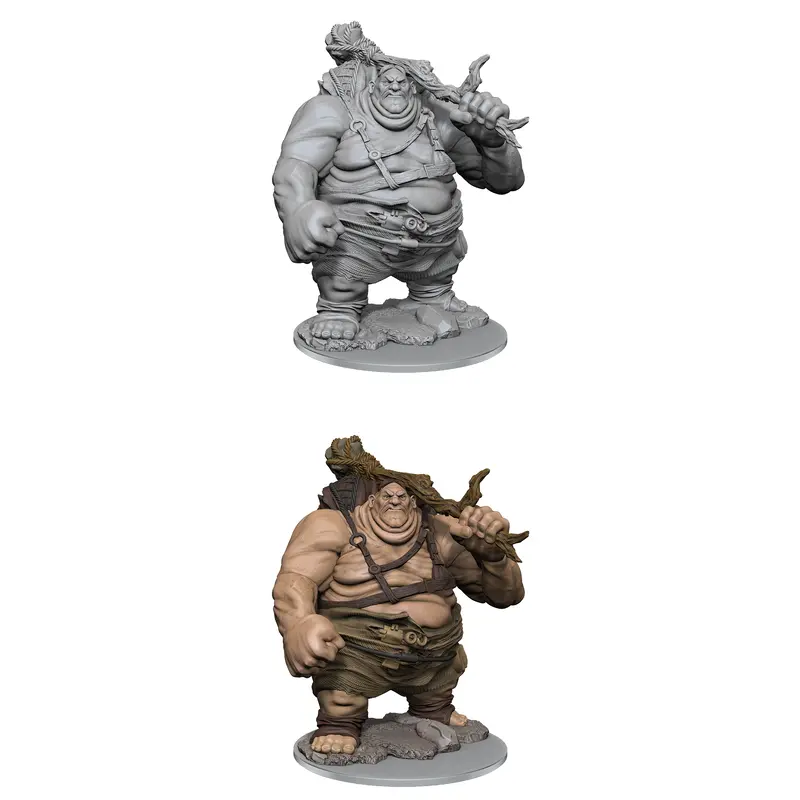 DND UNPAINTED MINIS WV17 HILL GIANT