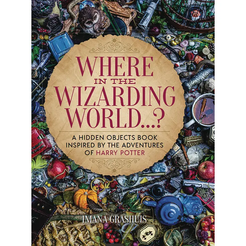 WHERE IN WIZARDING WORLD HIDDEN OBJECTS PICTURE BOOK HC