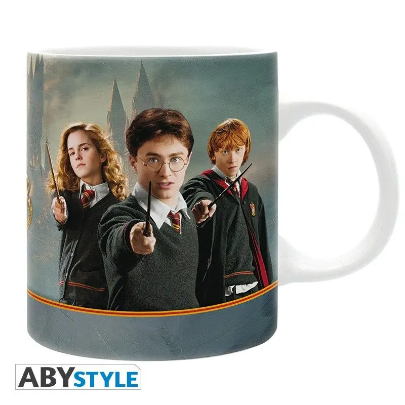 HARRY POTTER MUG 320ML HARRY N CO SUBLI W/ BOX