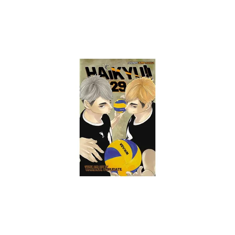 Haikyu!!, Vol. 29