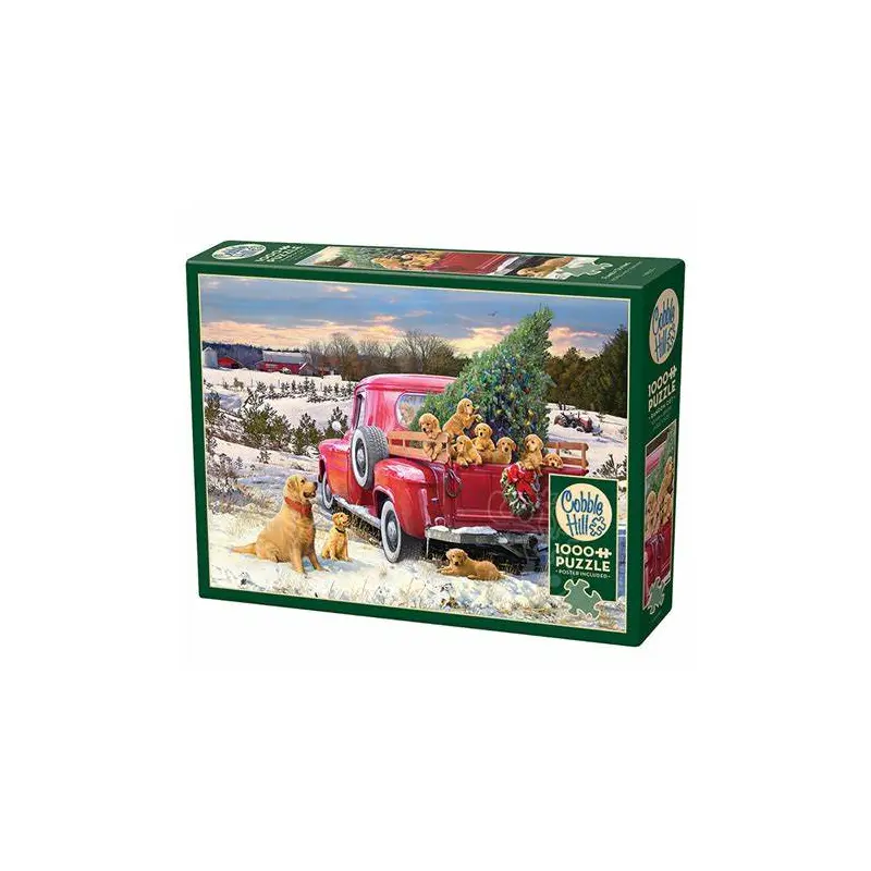 1000pc Puzzle Cobble Hill Family Outing