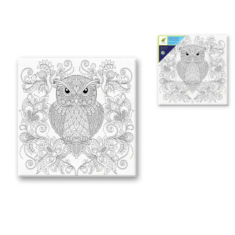 Stretch Artist Printed Canvas: 12"x12" Primed Back-Stapled Owl