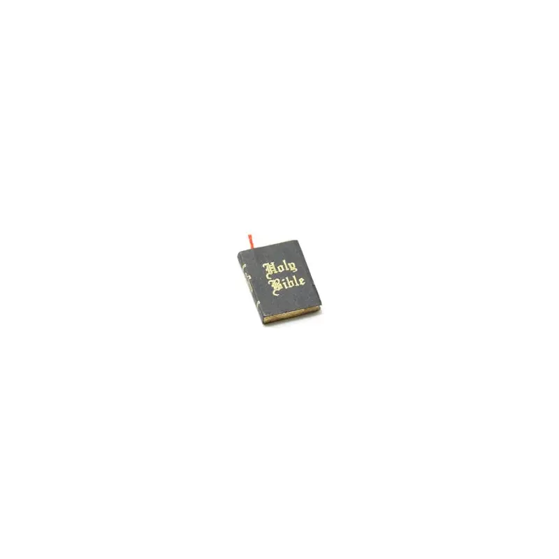 Miniature - Holy Bible