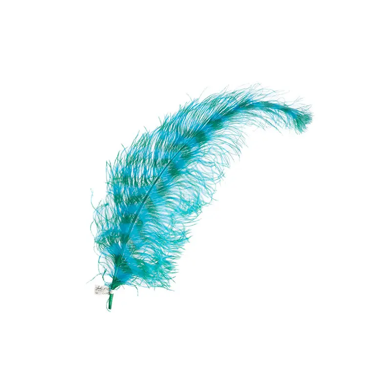 Ostrich Spad 24in+ Striped PEI Shore