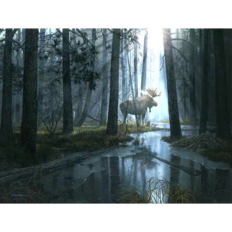 Caught by the Light 300