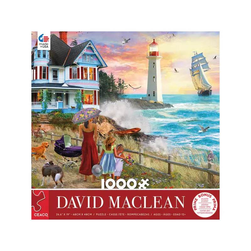 DAVID MACLEAN - PICKING WILDFLOWERS - 1000 PIECE PUZZLE