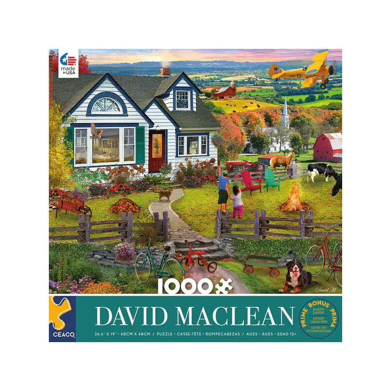 DAVID MACLEAN - THE FLY BY- 1000 PIECE PUZZLE
