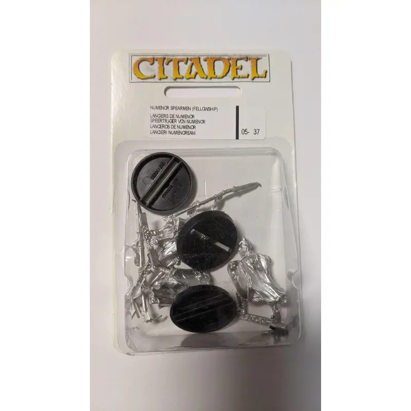 The Lord of the Rings: Warriors of Nmenor with Spears