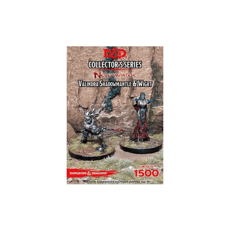 D&D Collectors Series Miniatures Neverwinter Valindra Shadowmantle & Wight (2 Figs)