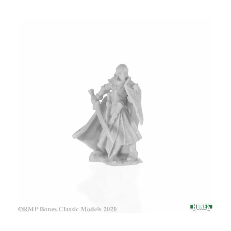 Alandin, Elf Paladin