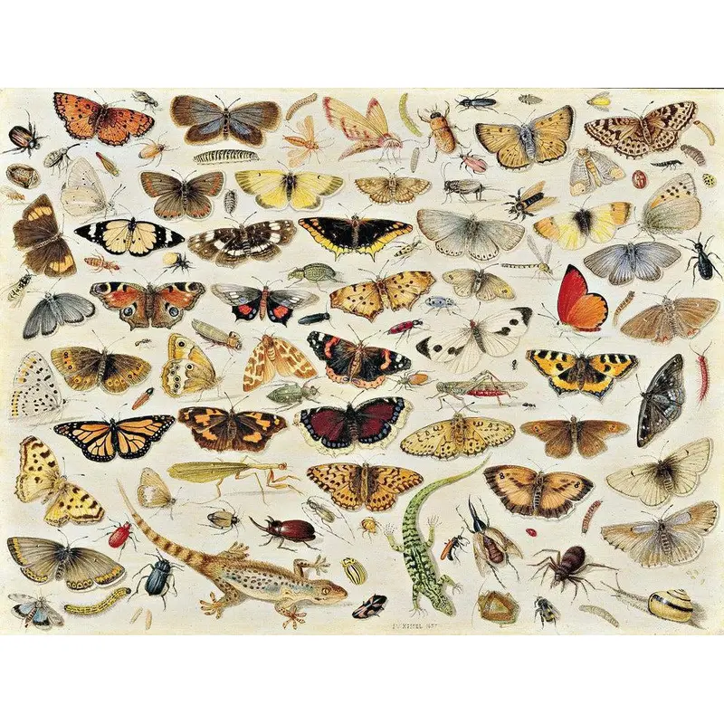 Artifact Wooden Puzzles - Jan van Kessel - Butterflies