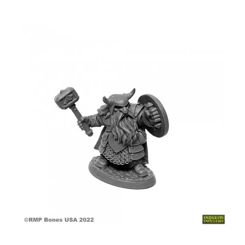 Borin Ironbrow, Dwarf Fighter (07011)