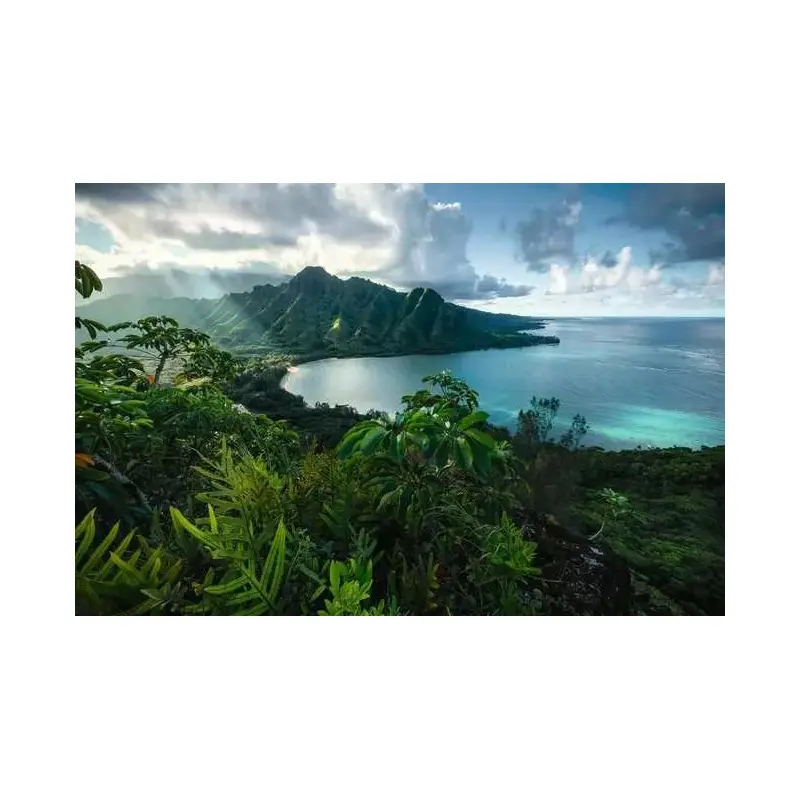 Hawaiian Viewpoint (Ravensburger 5000pc)