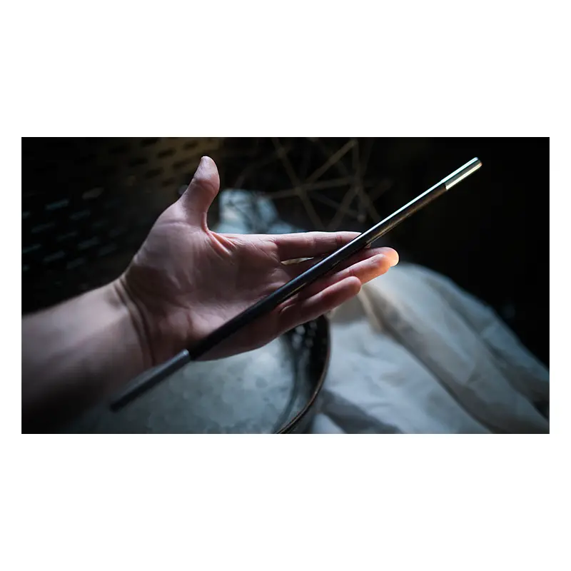 Professional's Magic Wand (Ebony/Silver Tip)